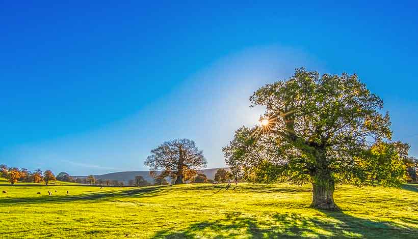 O verão ante as outras estações do ano na Europa